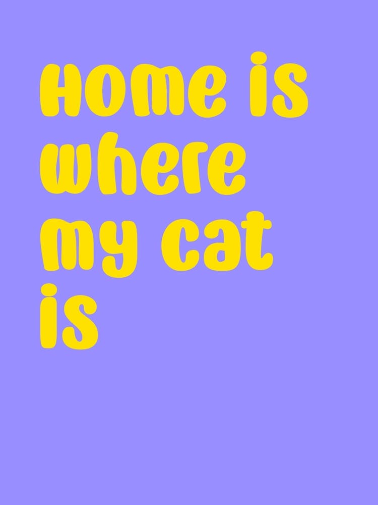 Home Is Where My Cat Is
