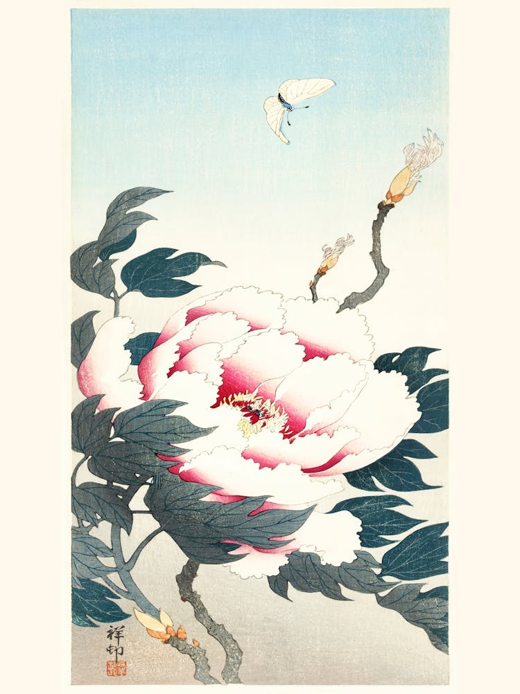 Peony With Butterfly (1925 1936), Ohara Koson