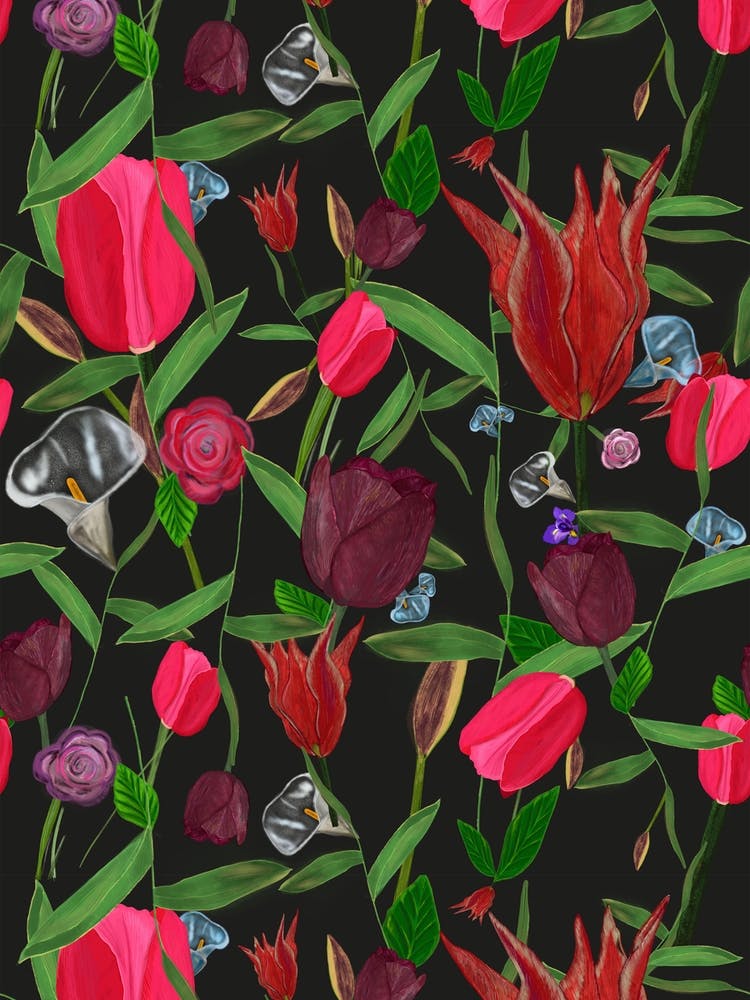 Hibiscus Exotic Garden