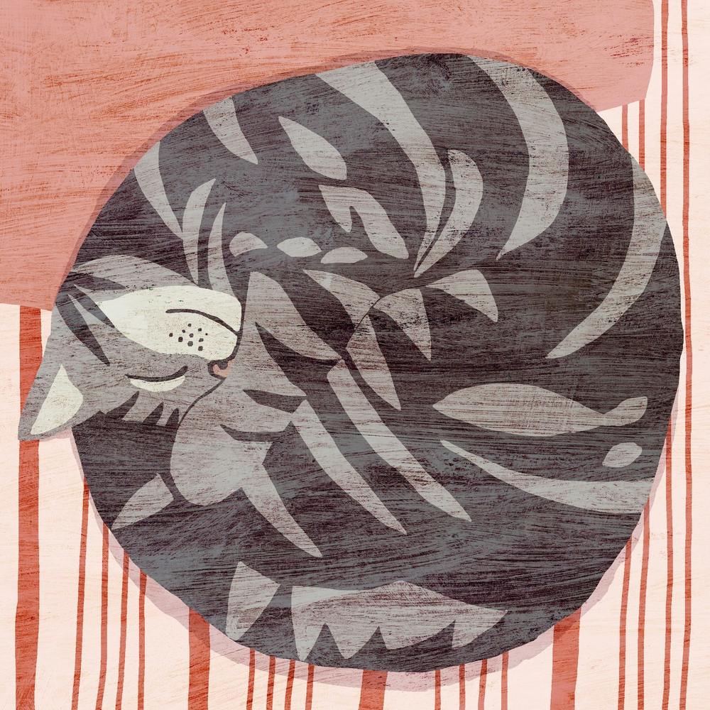 Sleepy Cat Curled Up Square