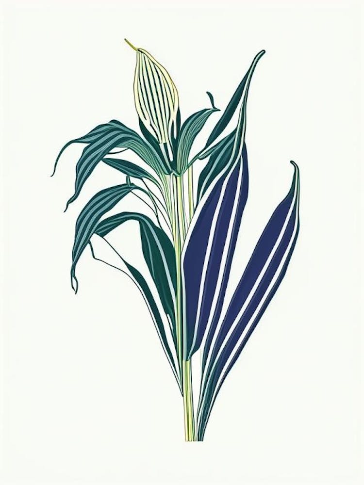 Hosta Floral Minimal Line Drawing 2 Flower