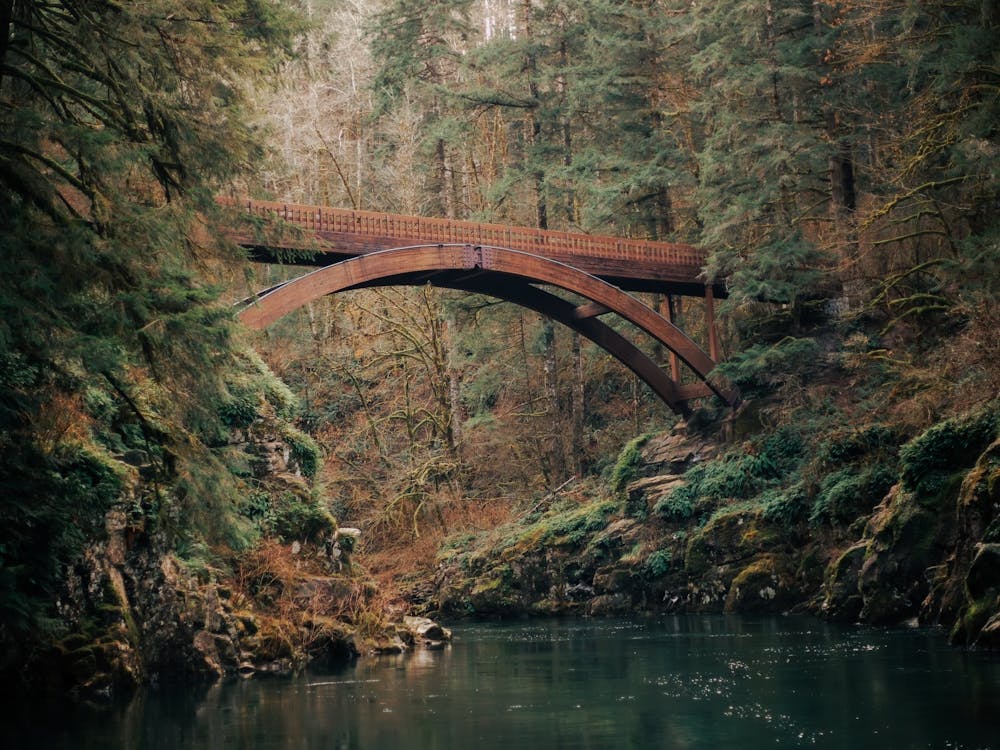 Forest River Bridge