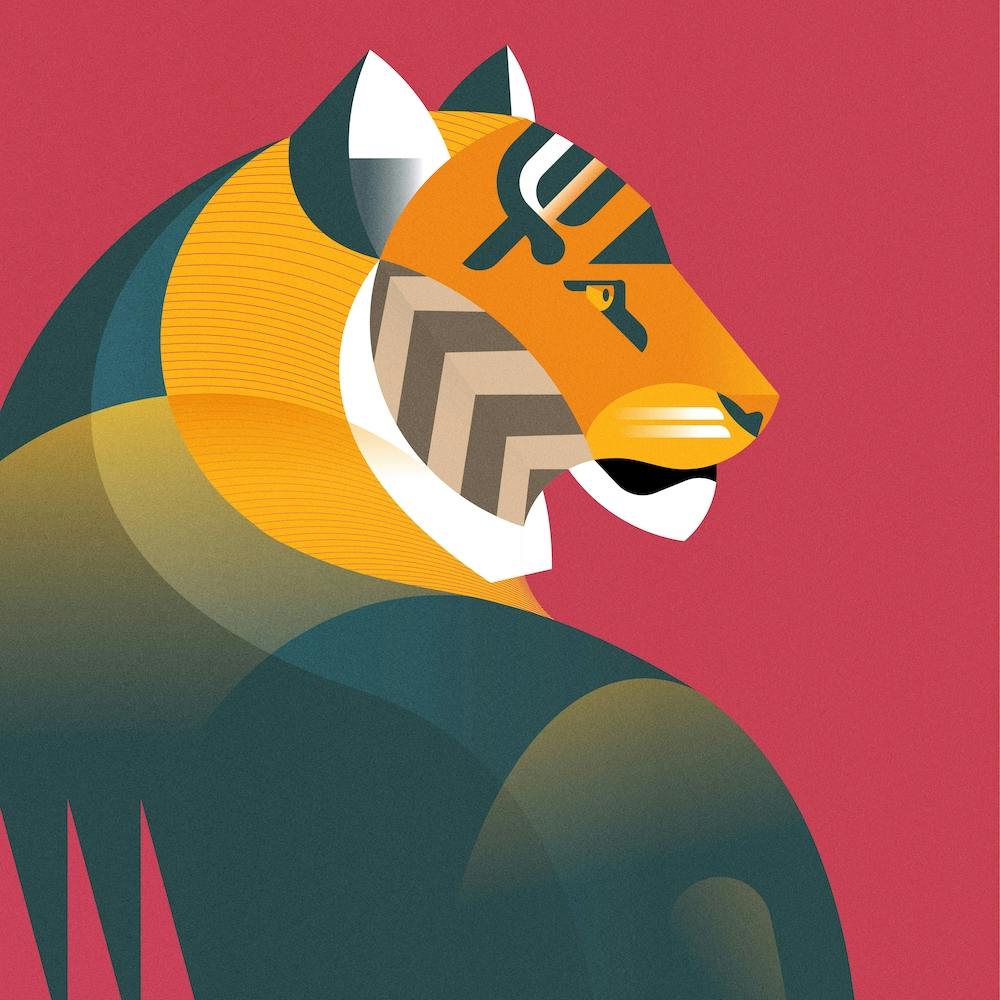 Bengal Tiger Square