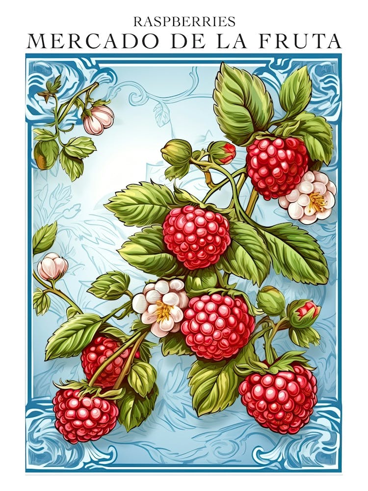 Mercado De La Fruta Raspberries Illustration 4 Poster