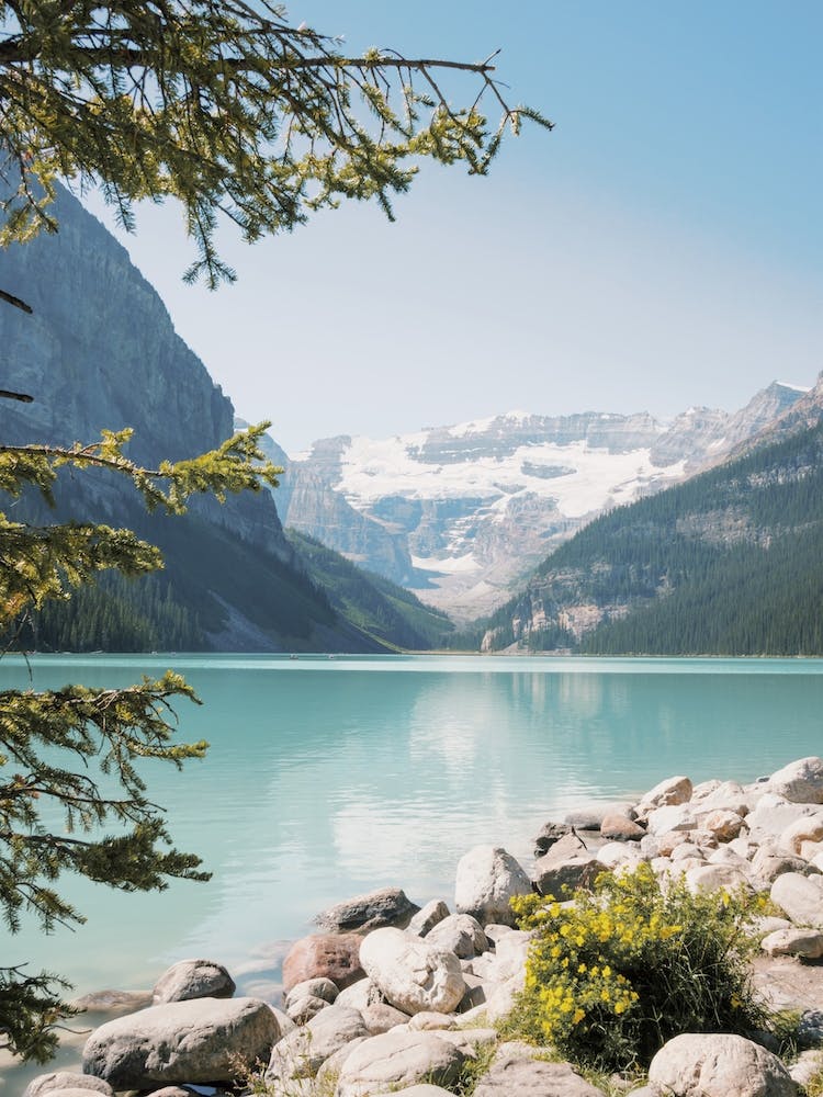 Montana Lake View