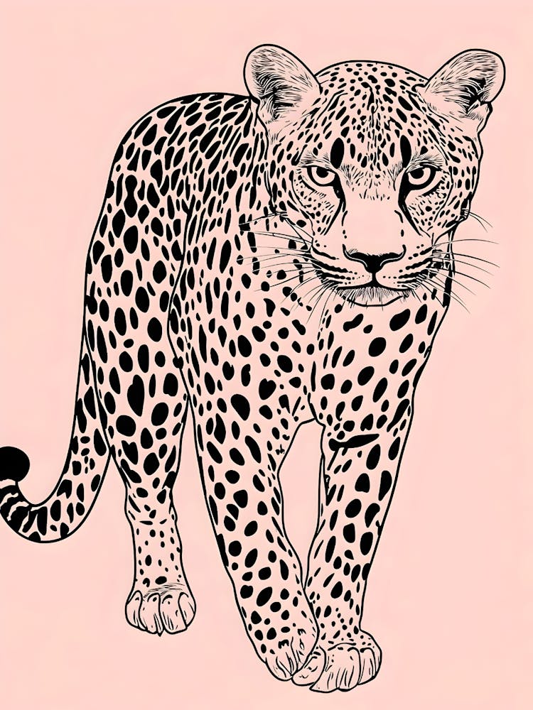 Leopard