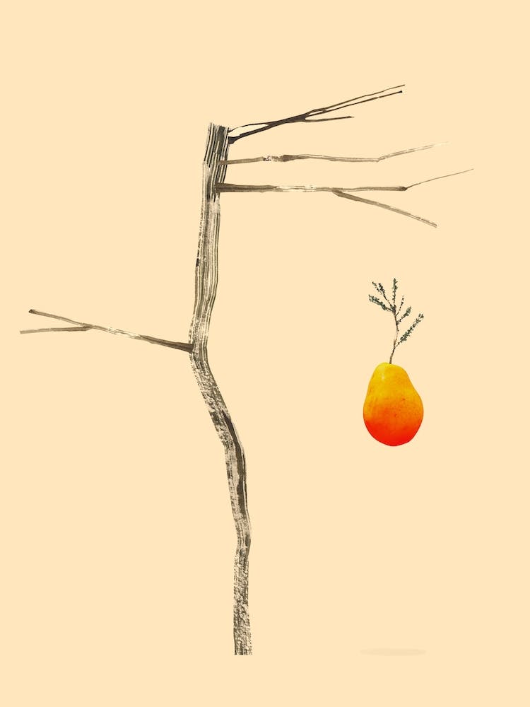 Fallfrukt
