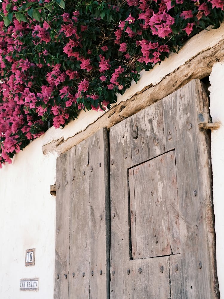 Holztür mit rosa Blumen in Eivissa // Ibiza Reisefotografie