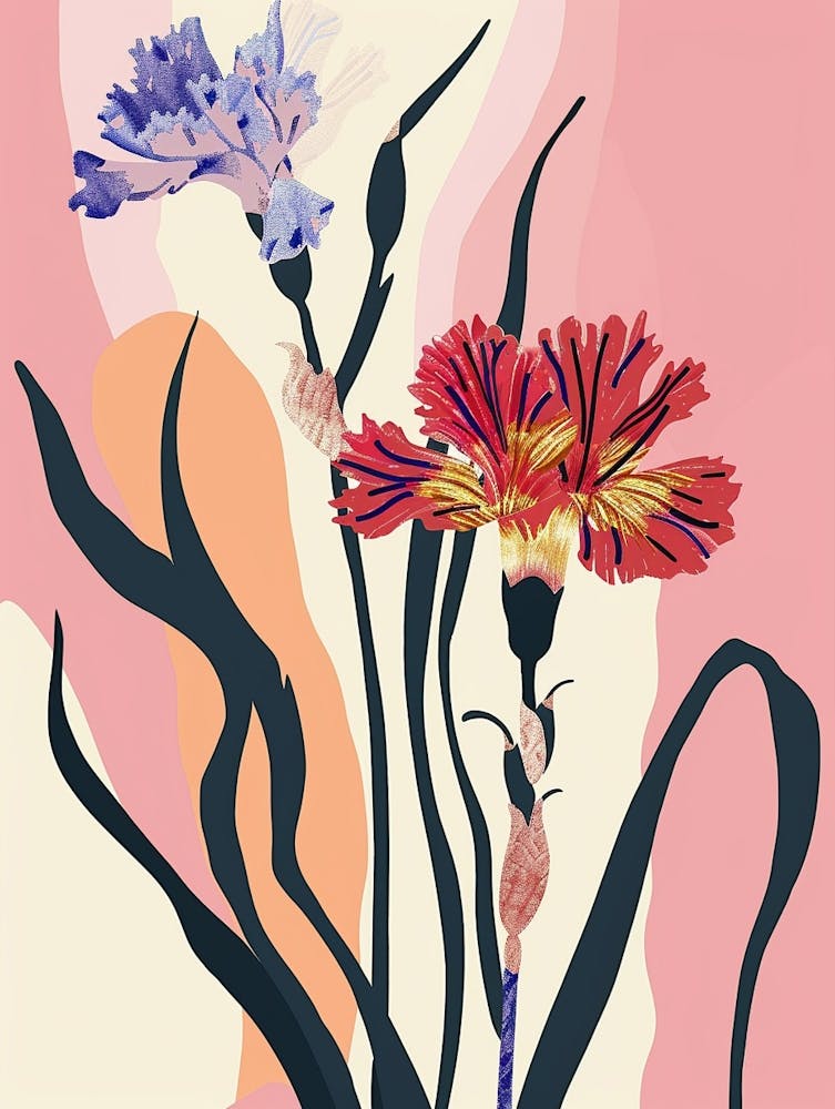 Colourful Flower Illustration Carnation Dianthus 1