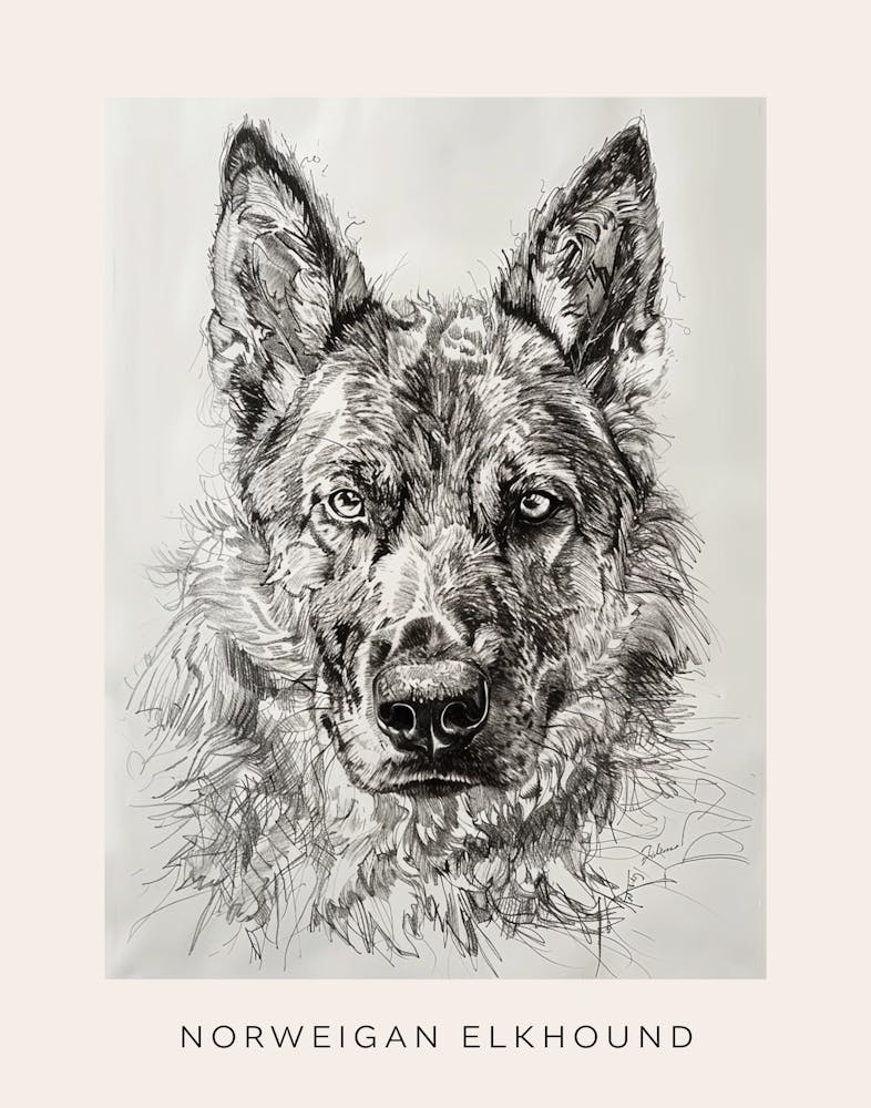 Norwegischer Elchhund Linienskizze 2 Poster