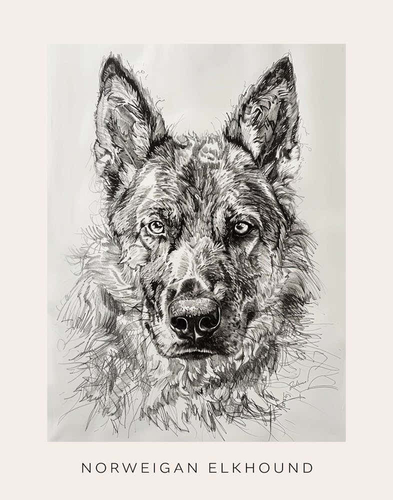 Norweigan Elkhound Dog Line Sketch 2 Poster