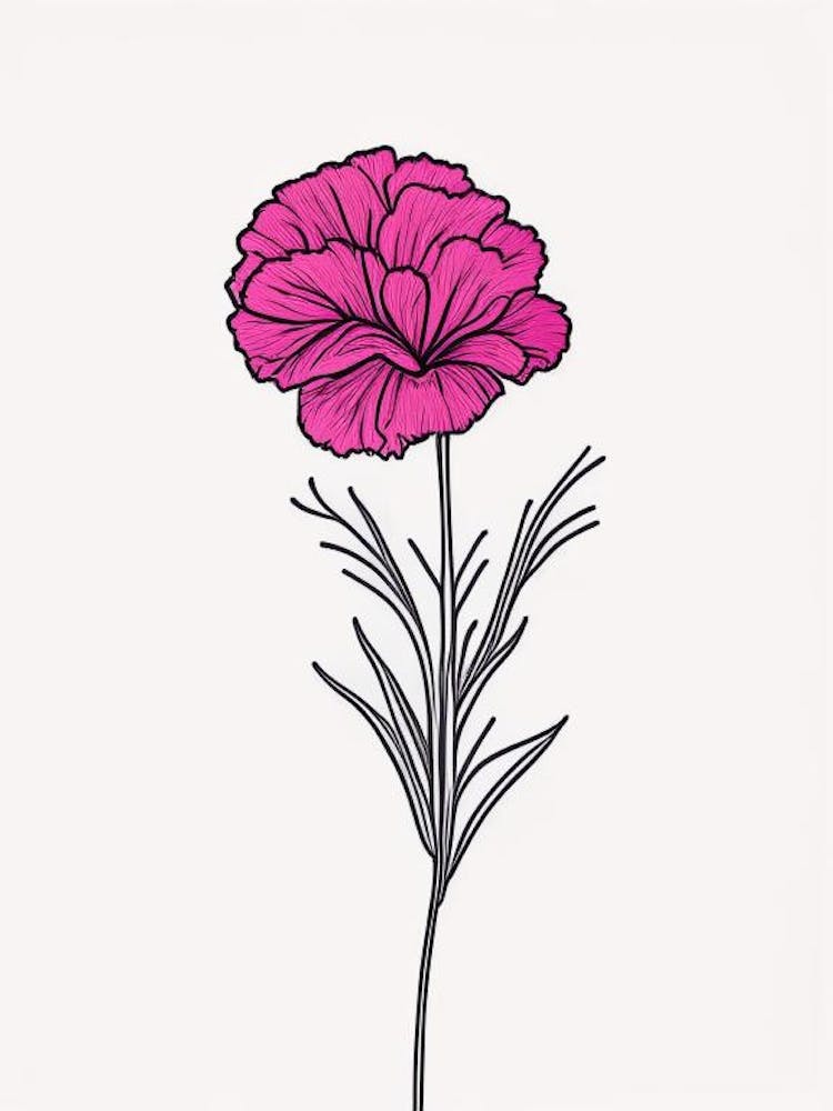 Carnation Floral Minimal Line Drawing 4 Flower