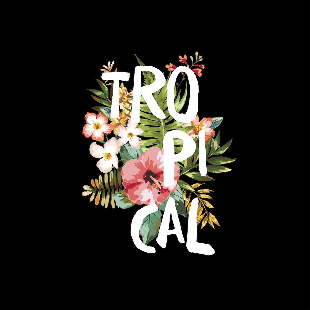 Galaxy Eyes Tropical