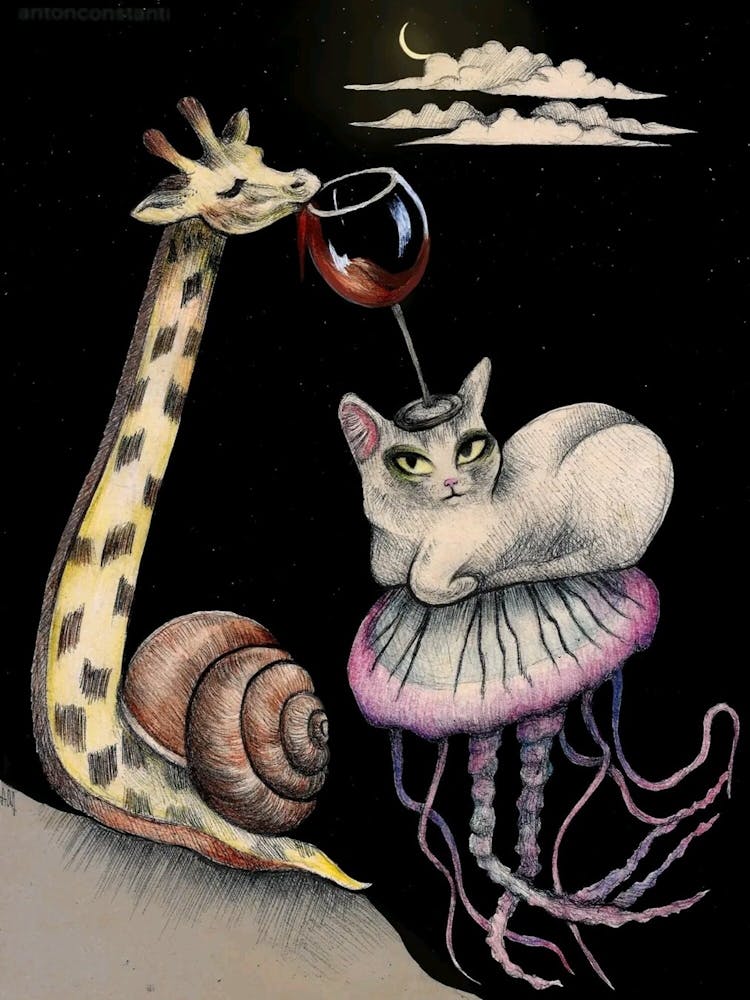 Giraffe And Jellyfish