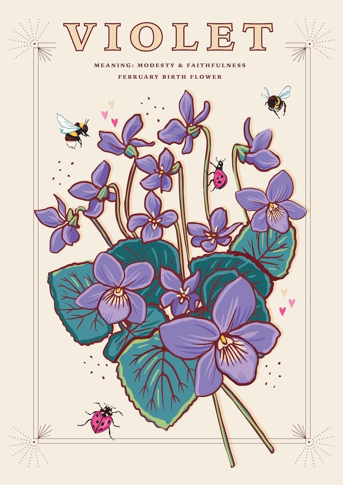 February Birth Flower Violet On Cream