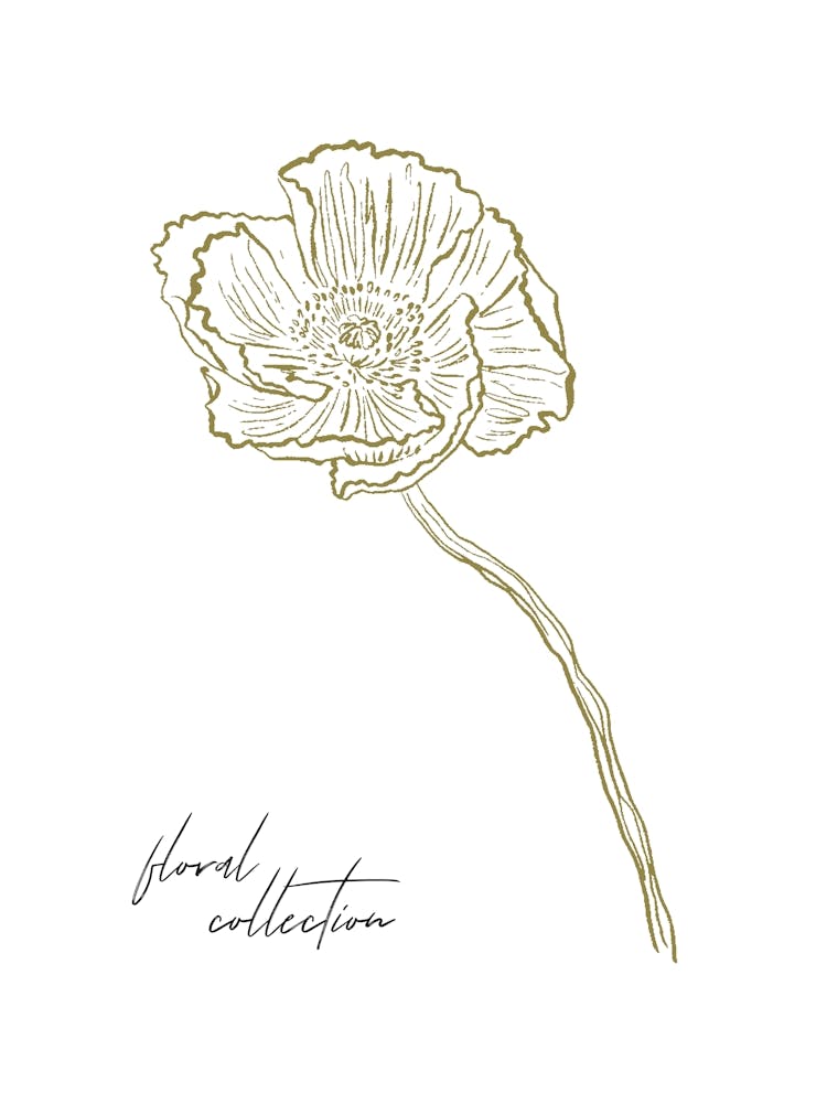 Harmonic lines no 29