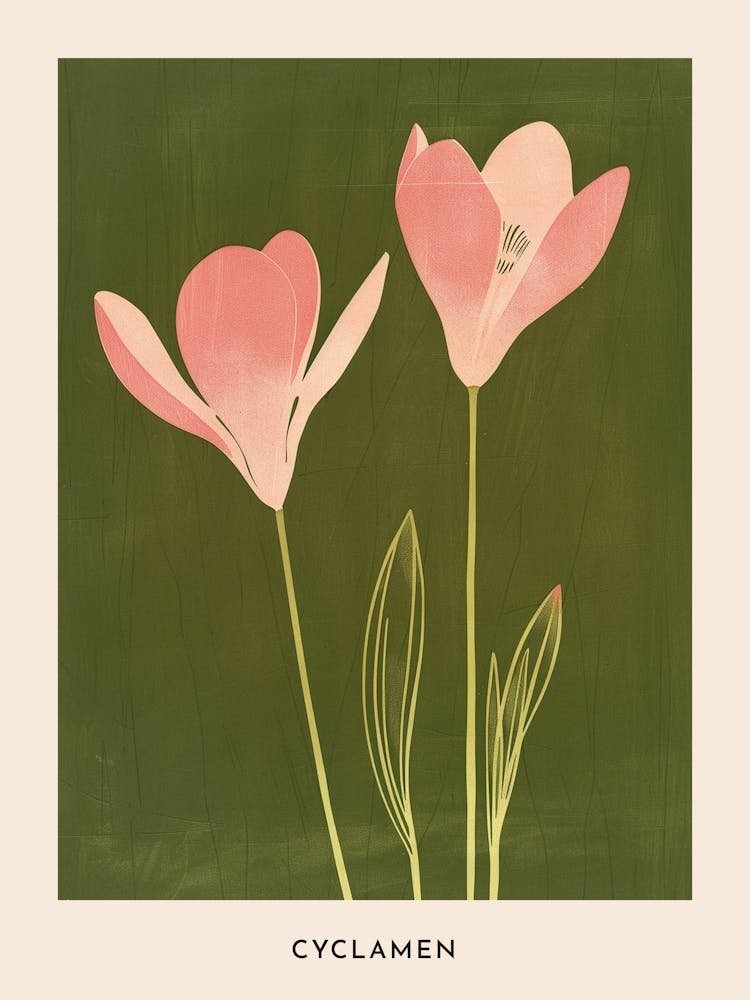 Pink & Green Cyclamen 1 Flower Poster