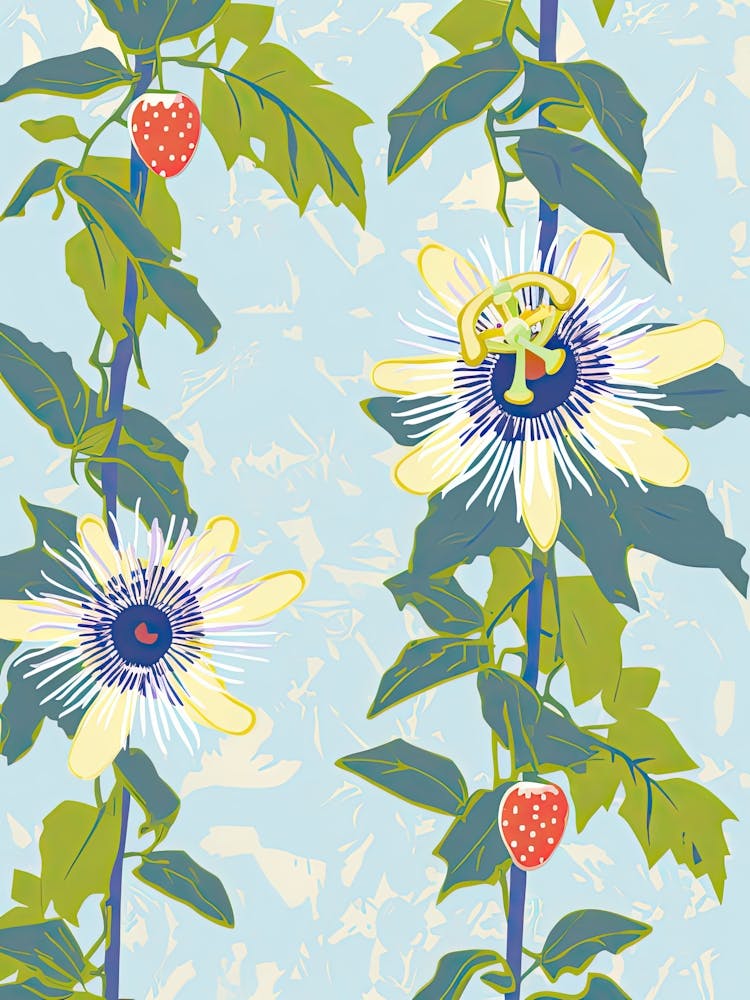 Passionfruit Illustration 2