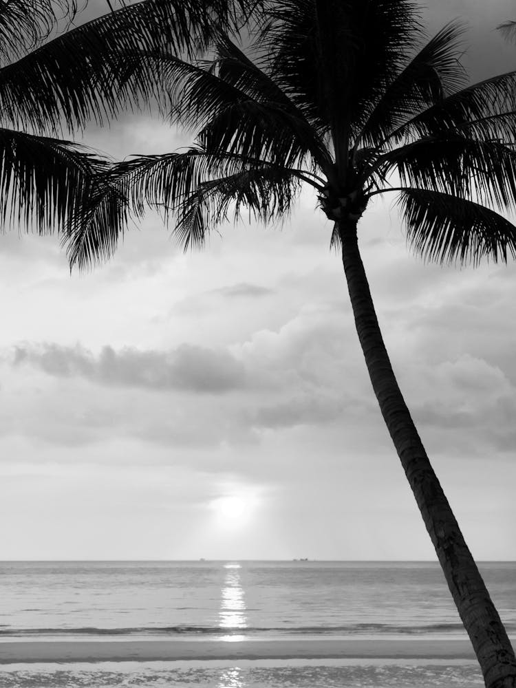 Sunset At The Beach 1