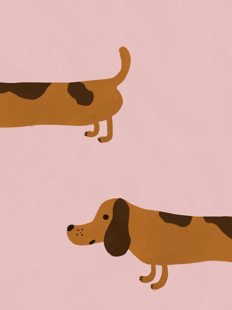 Wiener Dog Funny Dachshund Dog 1