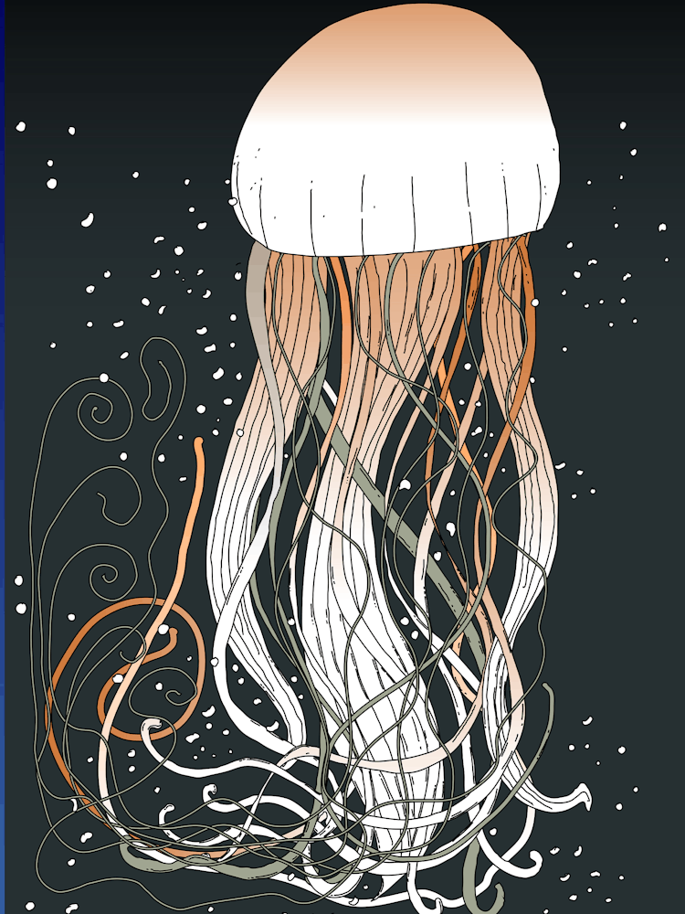 Jellyfish 2