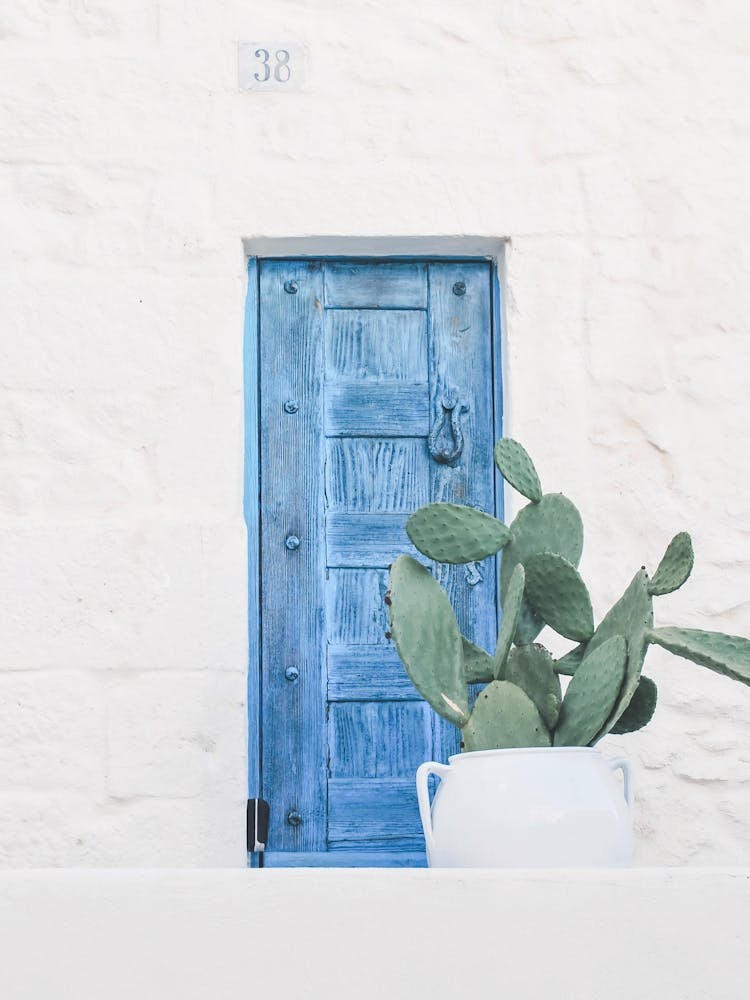 Puglia, Italien I Minimalistische Fotografie einer blauen Tür und Boho-Kaktus im authentischen mediterranen Dorf Ostuni an geometrischer weißer Wand mit Retro-Vintage-Ästhetik während des italienischen Indian Pastell Sommers