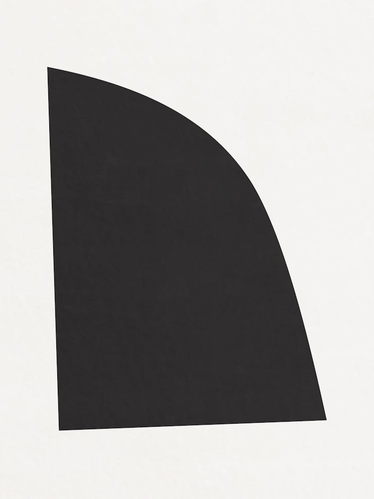 Black Triangle 01
