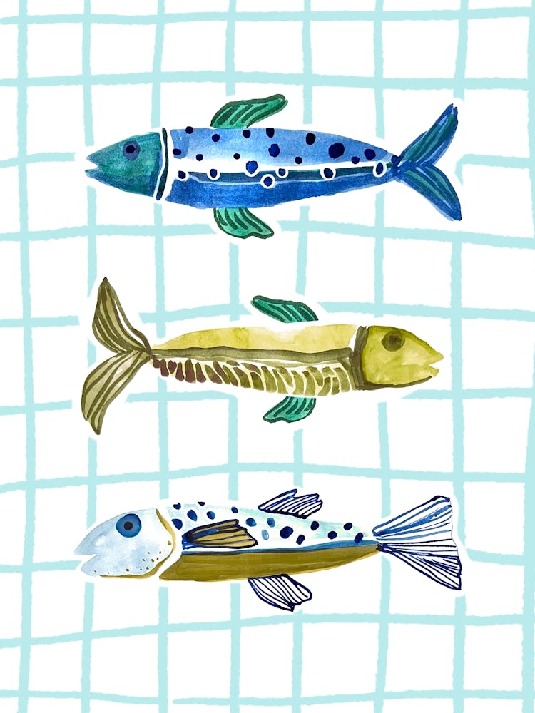 Three Fish & checks blue