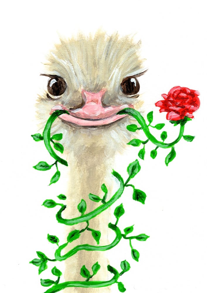 Ostrich With Flower