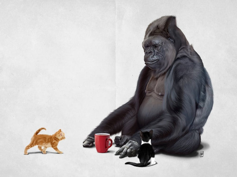 I Should, Koko (Wordless)