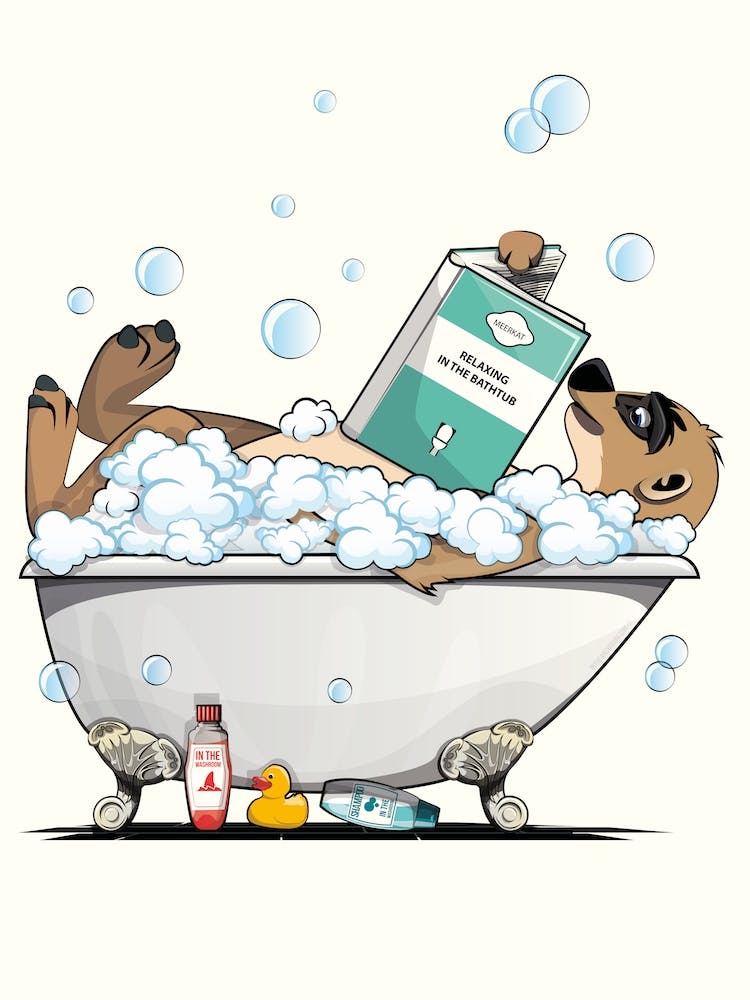 Meerkat in the Bath