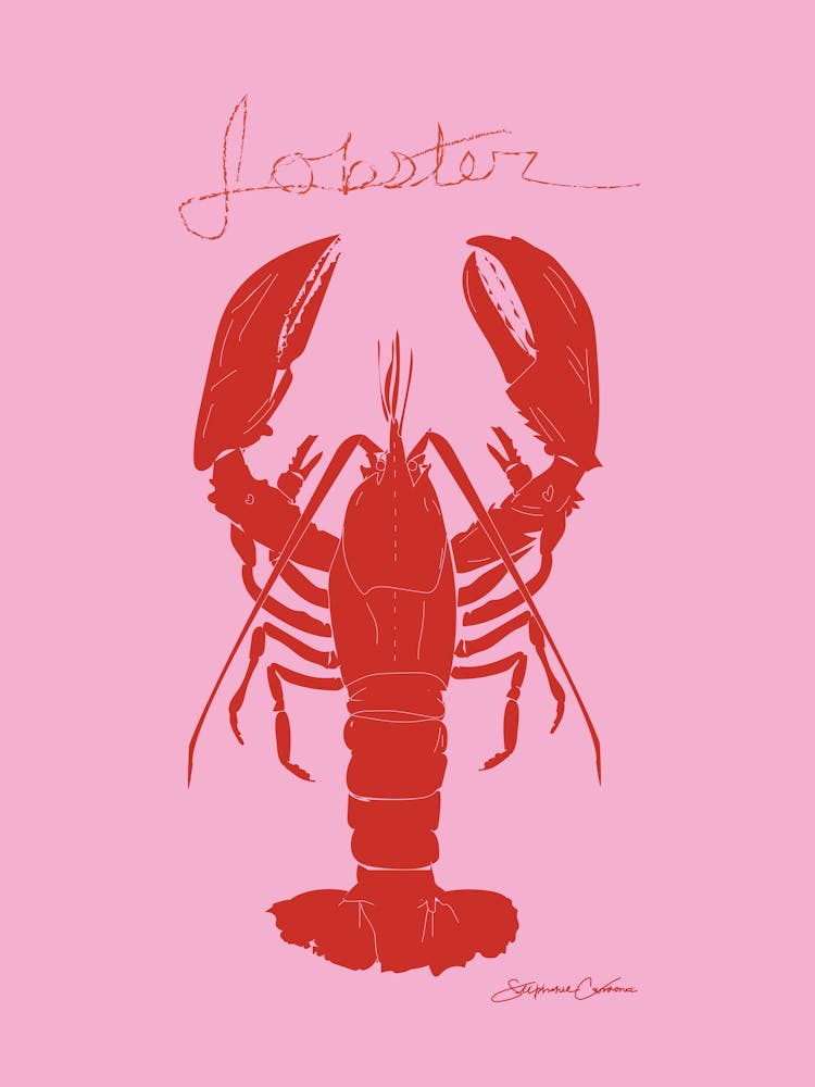 Lobster, Pink