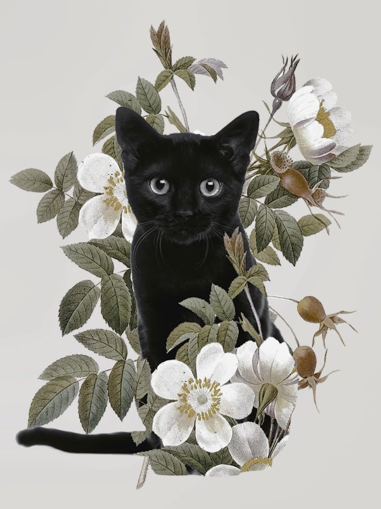 Cat With Flowers