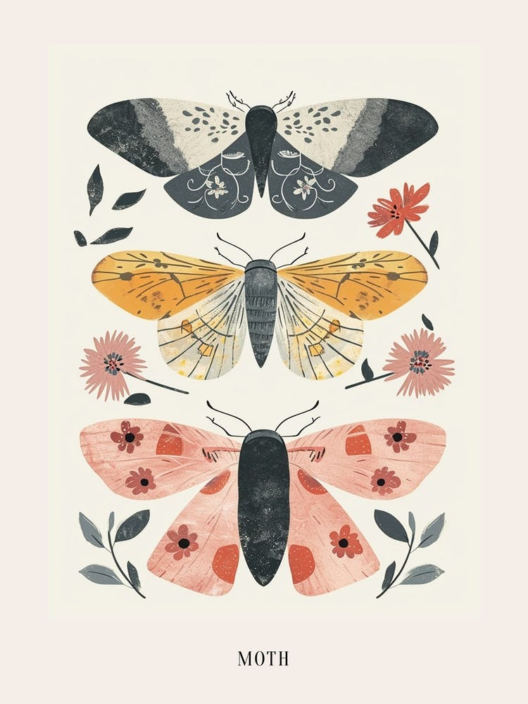Colourful Insect Illustration Moth 42 Poster