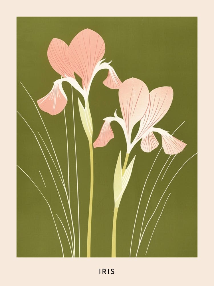 Pink & Green Iris 2 Flower Poster