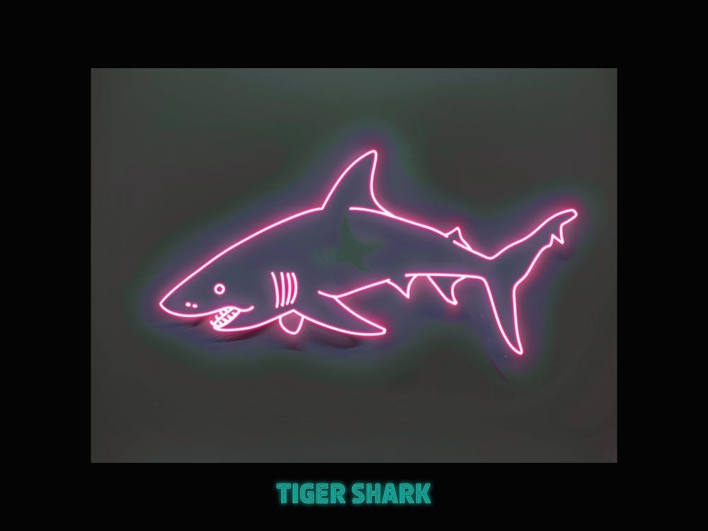 Pinker Tiger Neon Hai 3 Poster