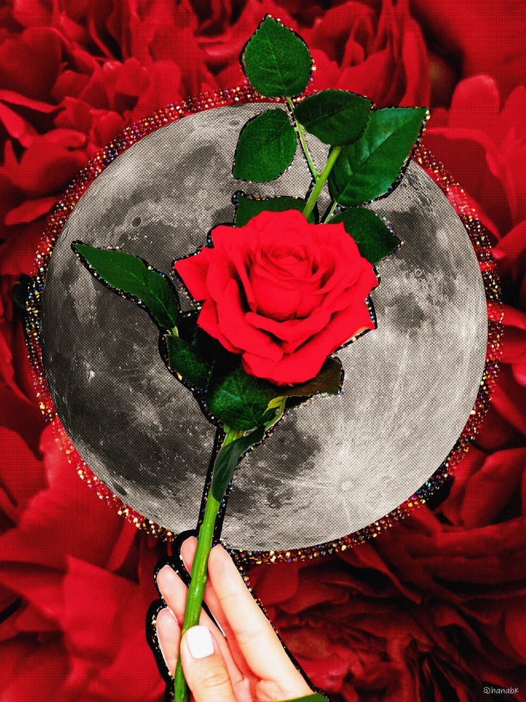 Rose Moon Glitter Collage Red & Grey