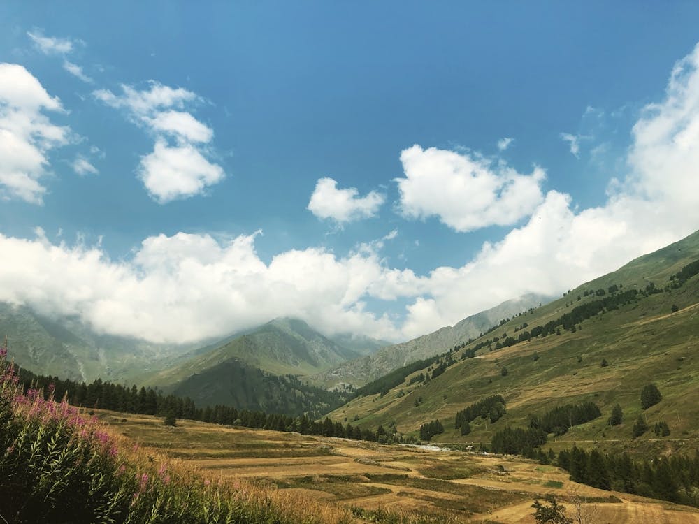 Italy field