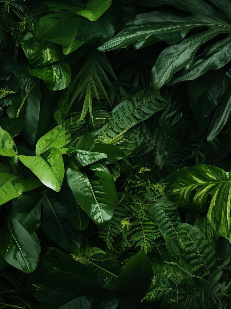 Jungle Background 1