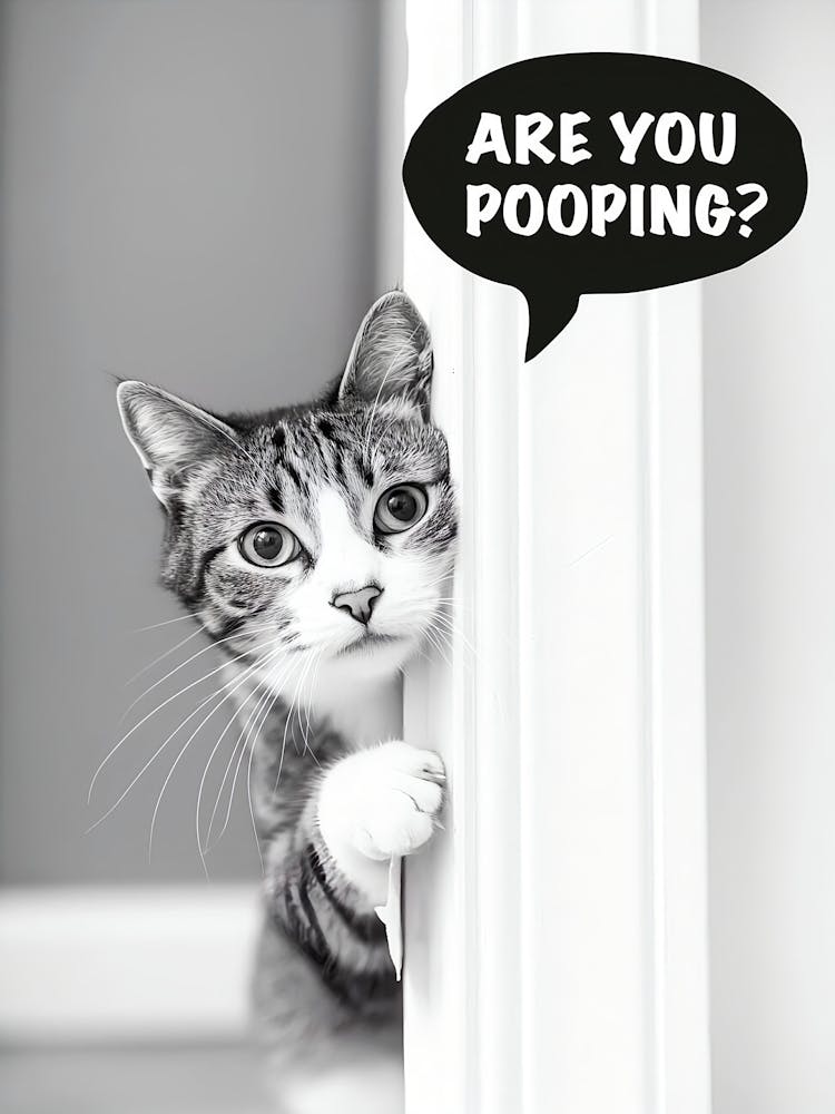 Bathroom Cat Poster, Are You Pooping Poster, Funny Posters, Funny Bathroom Decor, Funny Cat Toilet Prints, Cat Toilet Wall Art, Toilet Humor