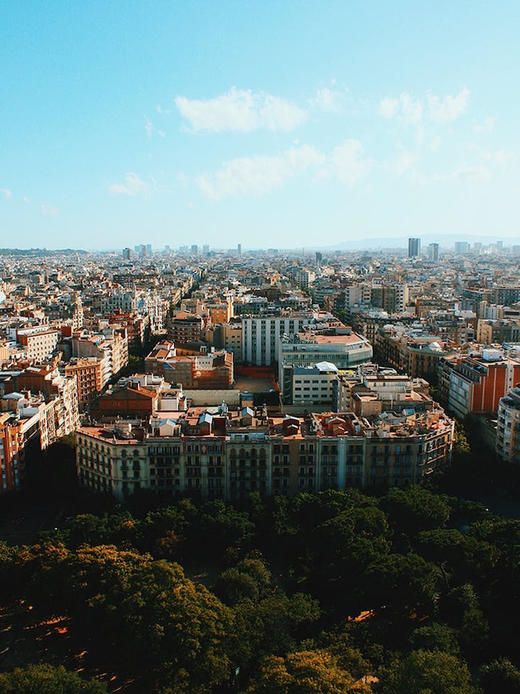 Bird Over Barcelona