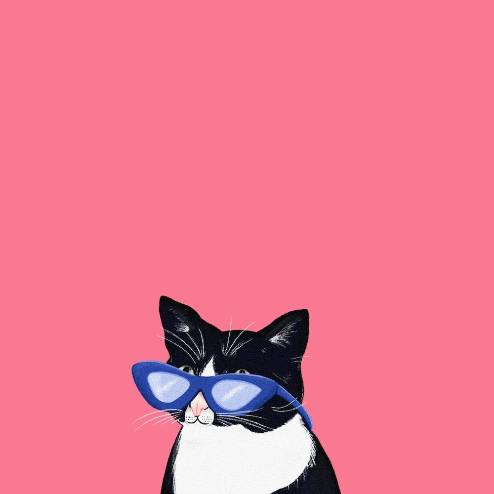 Princess Cheeto Cat Carré