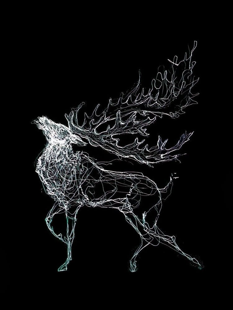 Deer line art