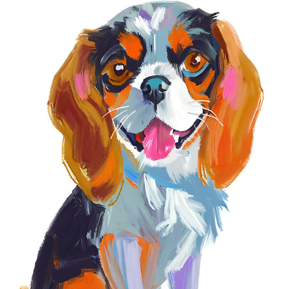 Cavalier King Charles Spaniel 02