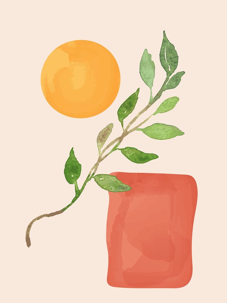 Sun Leaf Boho
