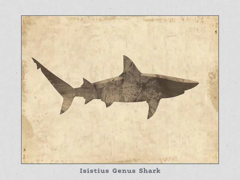 Isistius Genus Shark Silhouette 1 Poster