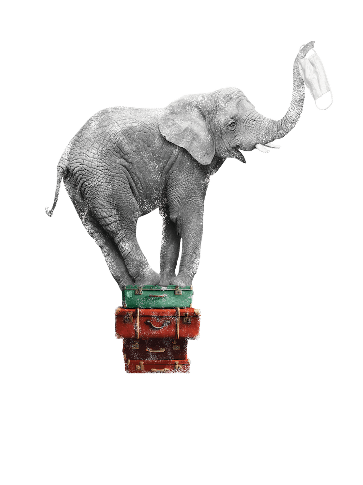 2020 never forgotten