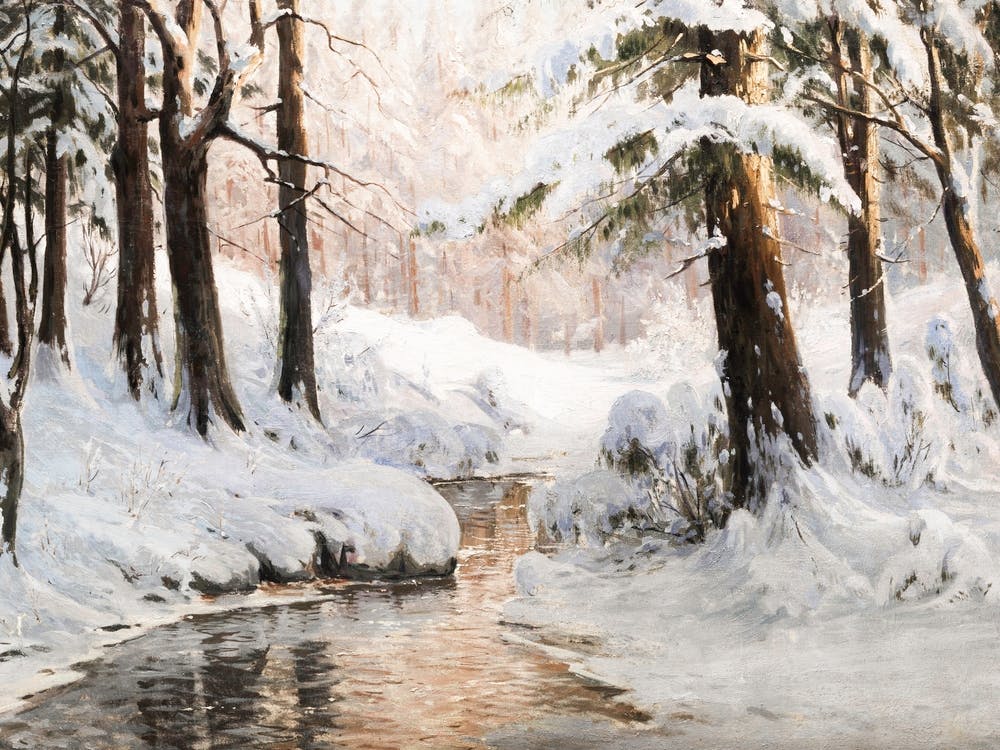 Winter In The Woods 1