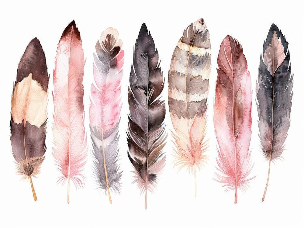 Watercolor Feathers
