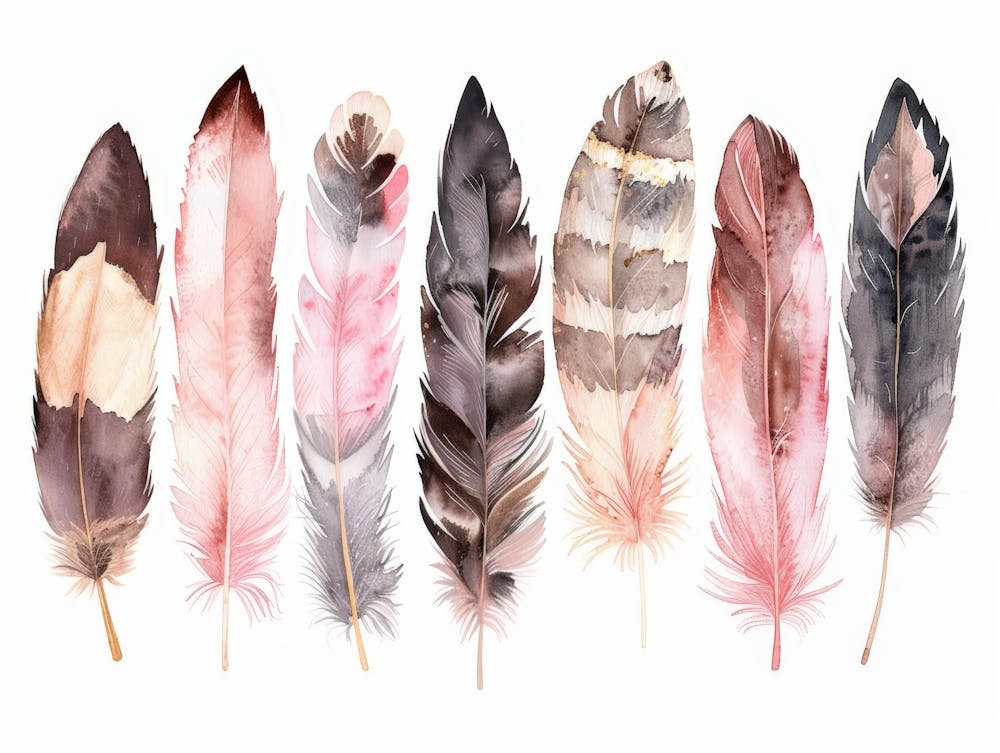 Watercolor Feathers